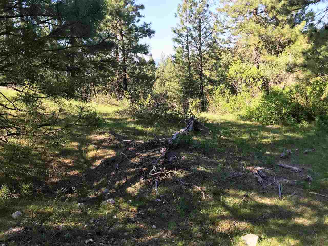 Xx South Chester Creek Road Spokane, WA 99206 - Photo 6 of 20 Gallery Image 6