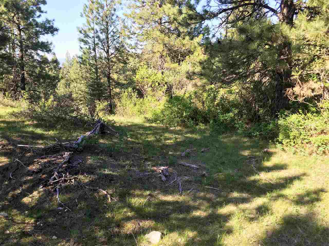 Xx South Chester Creek Road Spokane, WA 99206 - Photo 7 of 20 Gallery Image 7