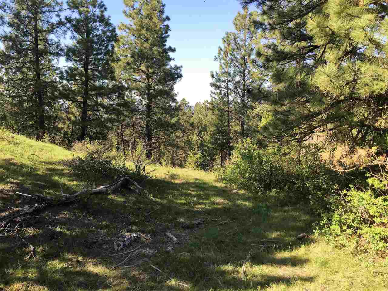 Xx South Chester Creek Road Spokane, WA 99206 - Photo 8 of 20 Gallery Image 8