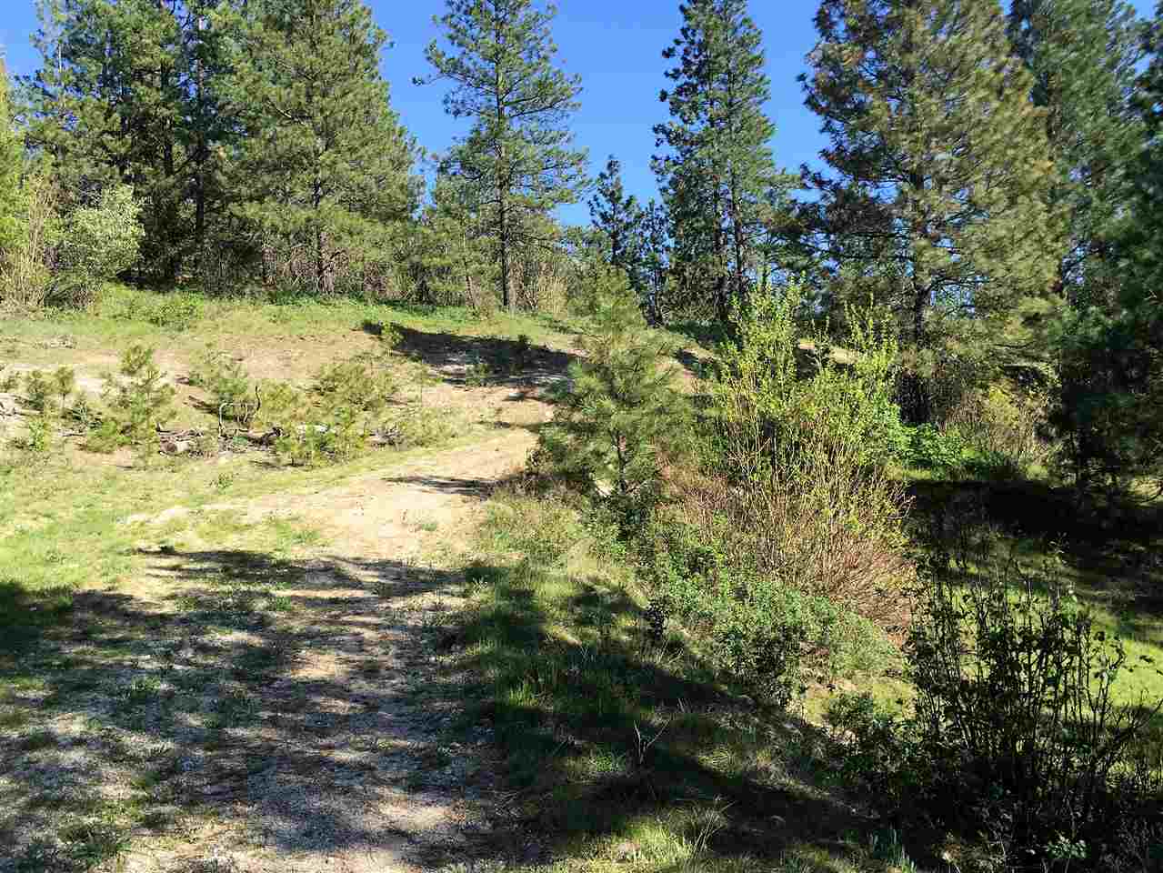 Xx South Chester Creek Road Spokane, WA 99206 - Photo 9 of 20 Gallery Image 9