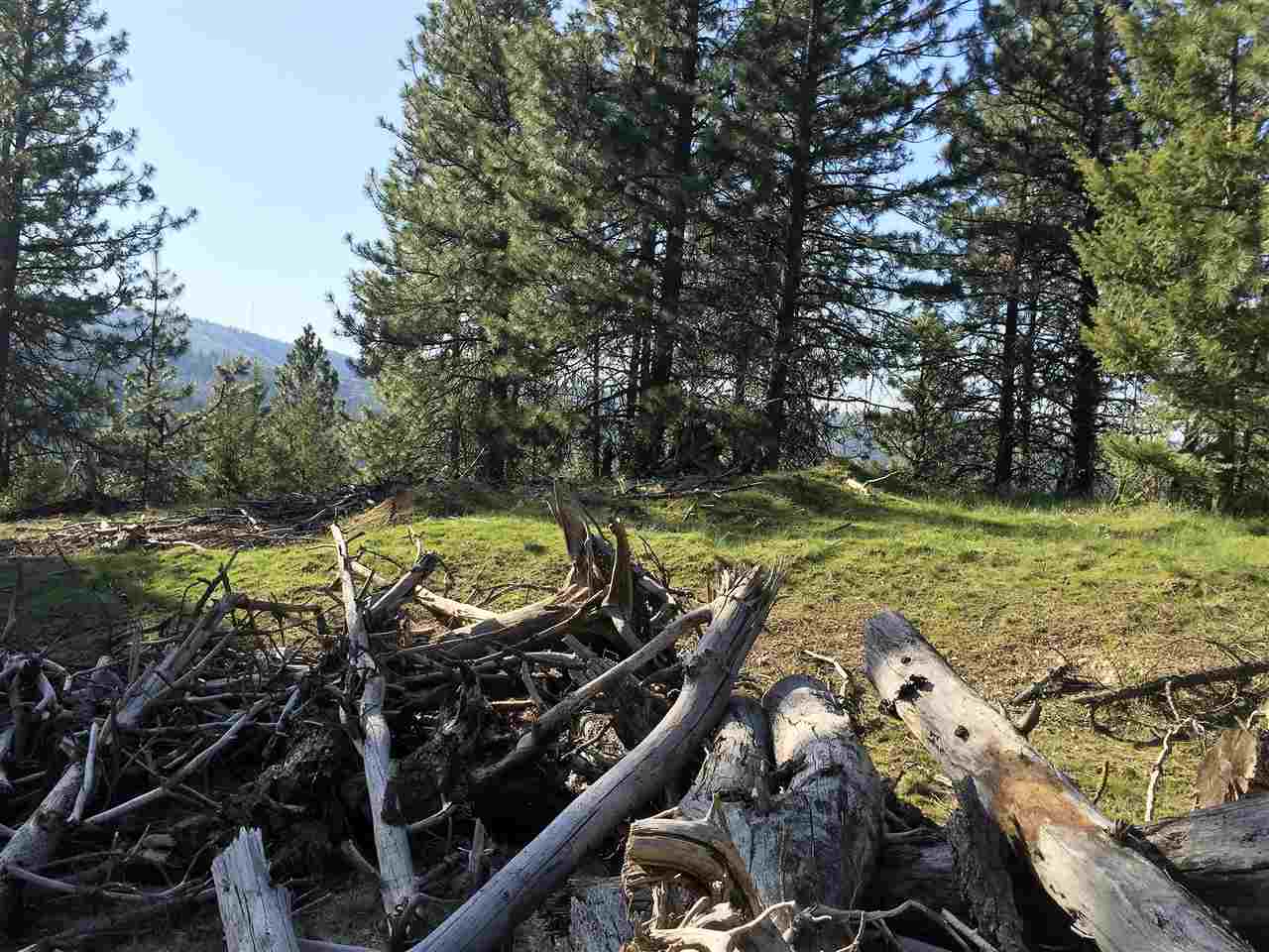 Xx South Chester Creek Road Spokane, WA 99206 - Photo 10 of 20 Gallery Image 10