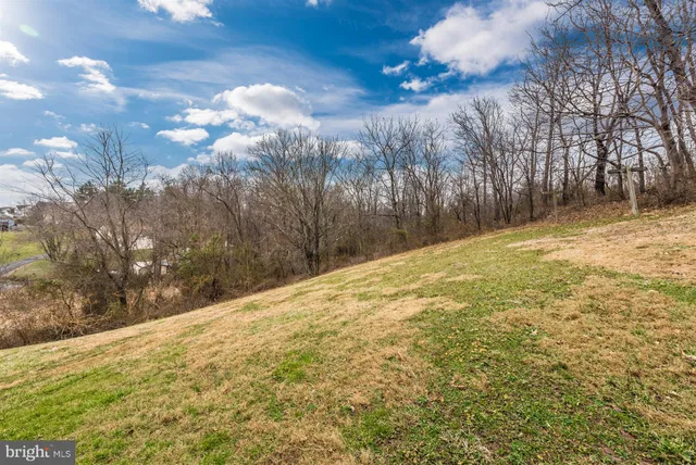 a view of a yard with trees