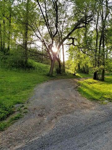 1169 Charles Road Decatur, TN 37322 - Photo 17 of 49 20192291-17