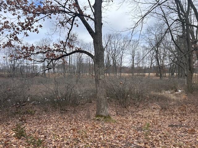 2171 South Wyman Road Remus, MI 49340 - Photo 31 of 37 IMG_9912