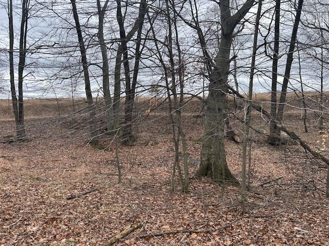 2171 South Wyman Road Remus, MI 49340 - Photo 37 of 37 IMG_9913