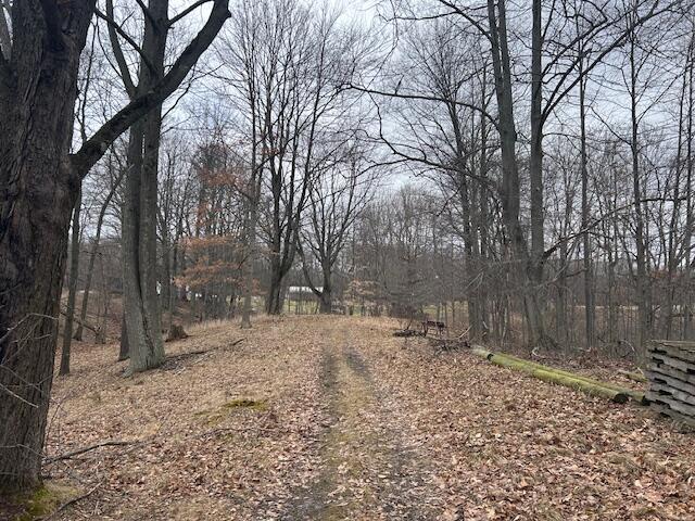 2171 South Wyman Road Remus, MI 49340 - Photo 5 of 37 IMG_9910