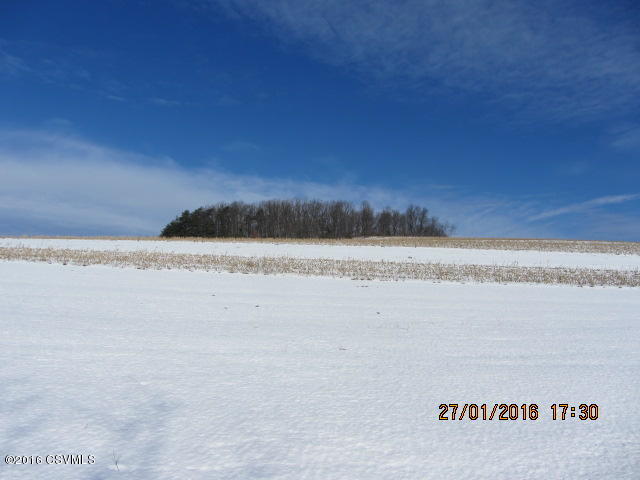 10609 Stage Road McClure, PA 17841 - Photo 12 of 21