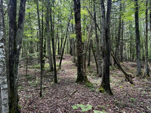 M10-l20 Judkins Road Harmony, ME 04942 - Photo 39 of 39