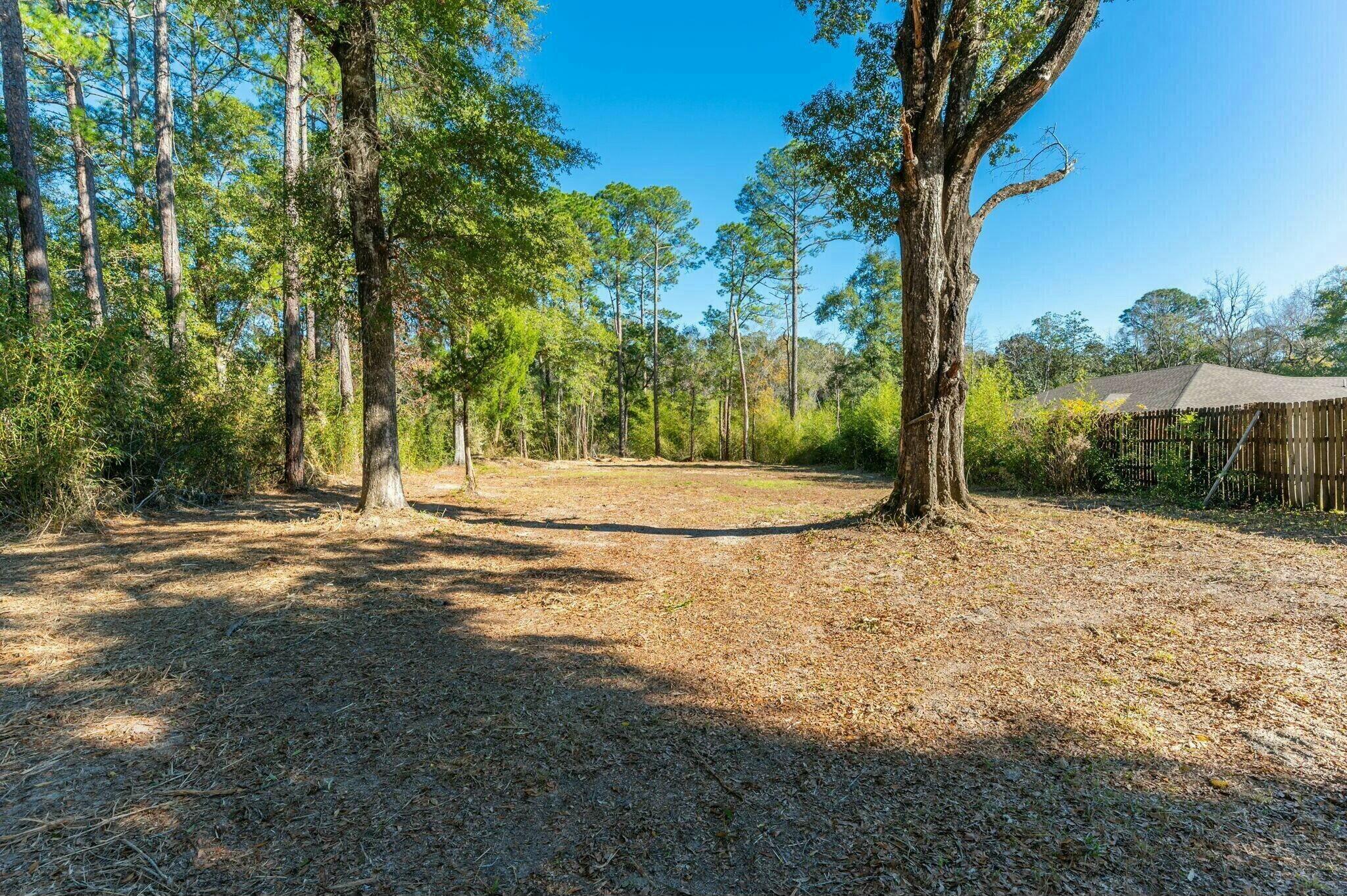 a view of a yard with large tree