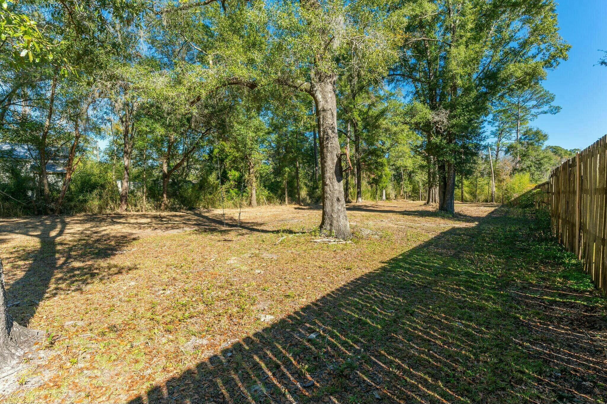47-acres Madison Street Freeport, FL 32439 - Photo 2 of 6 a view of yard with tree