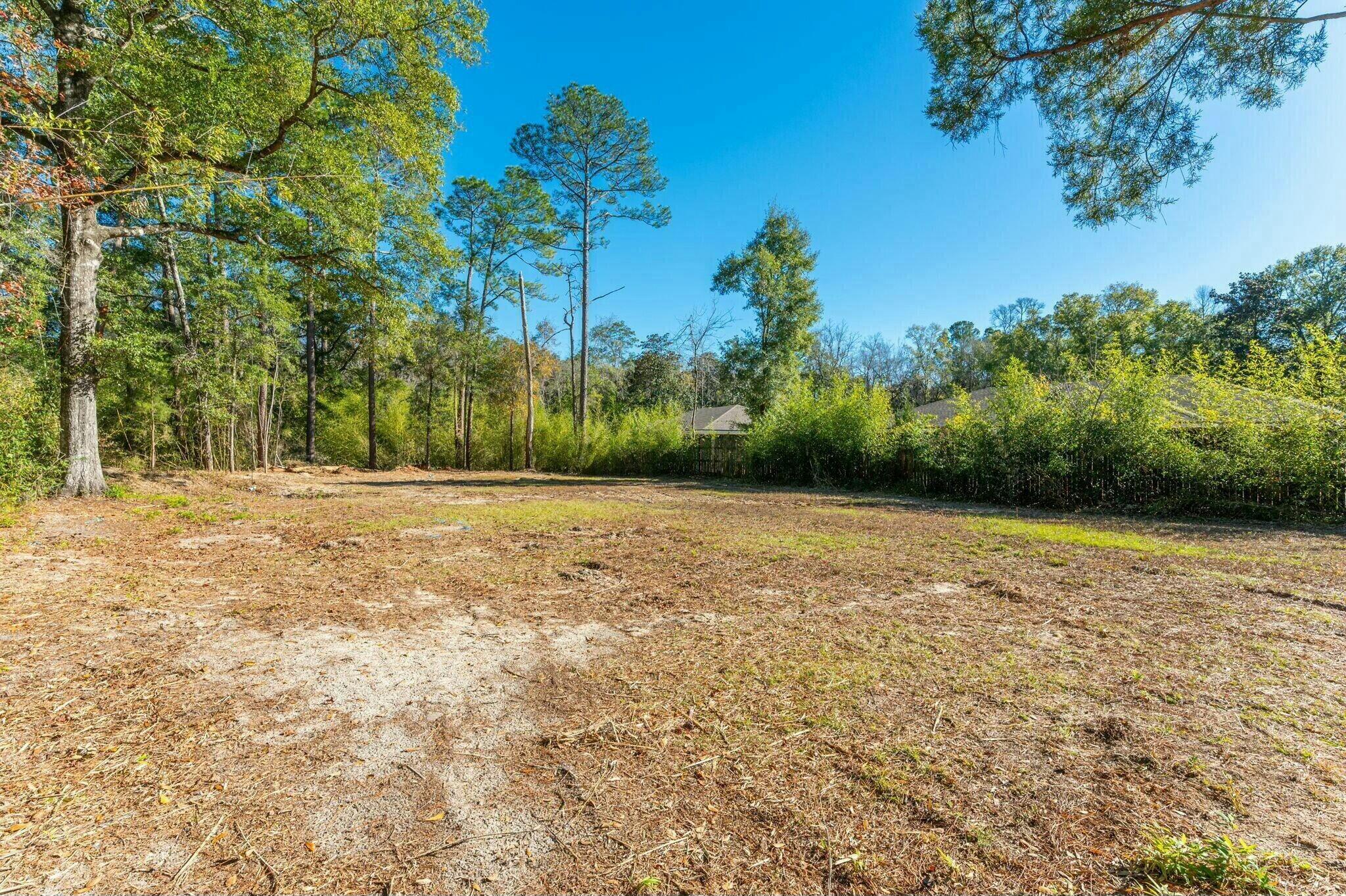 47-acres Madison Street Freeport, FL 32439 - Photo 3 of 6 a backyard of a house with lots of green space