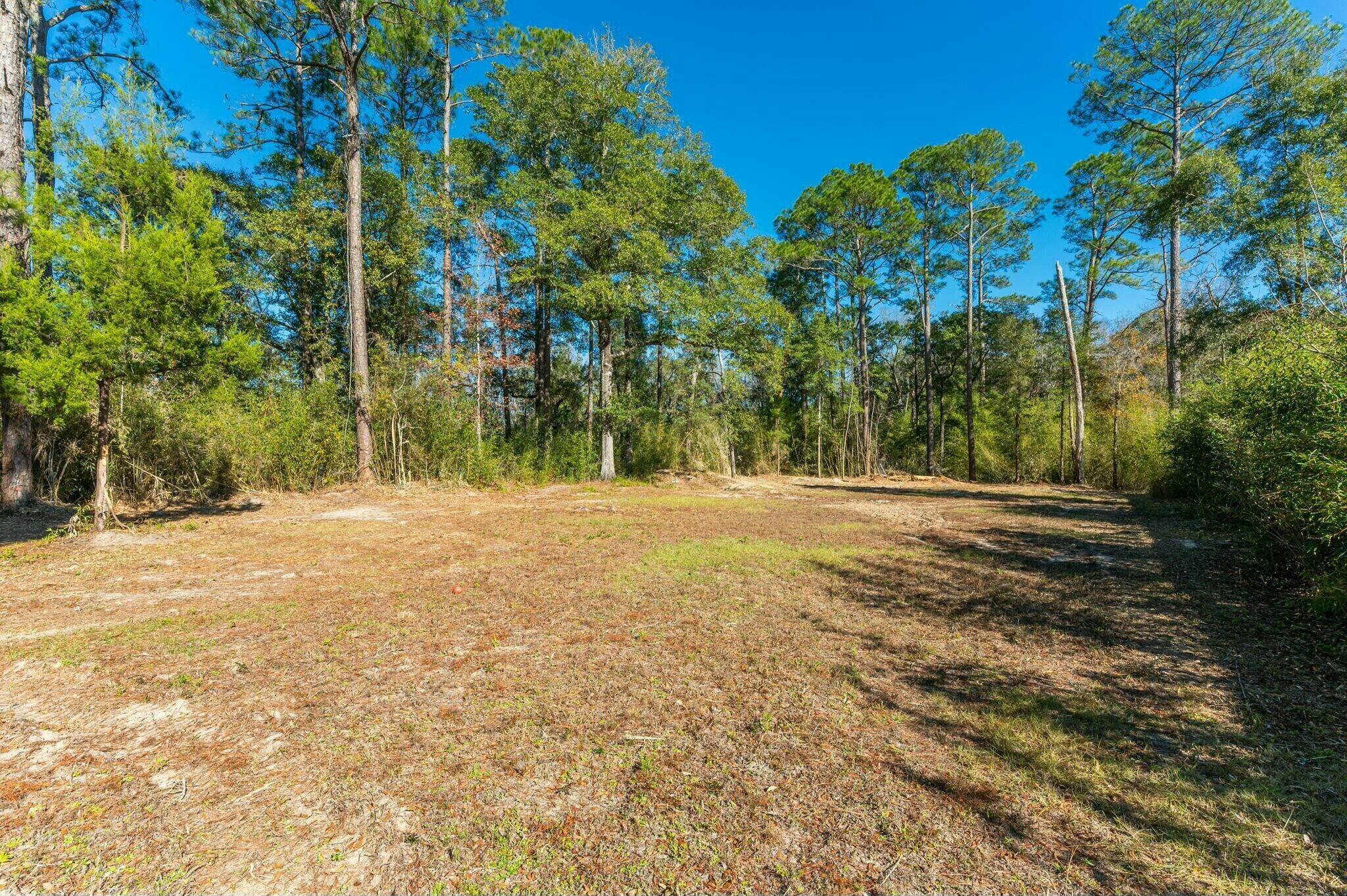 47-acres Madison Street Freeport, FL 32439 - Photo 4 of 6 a view of outdoor space with trees