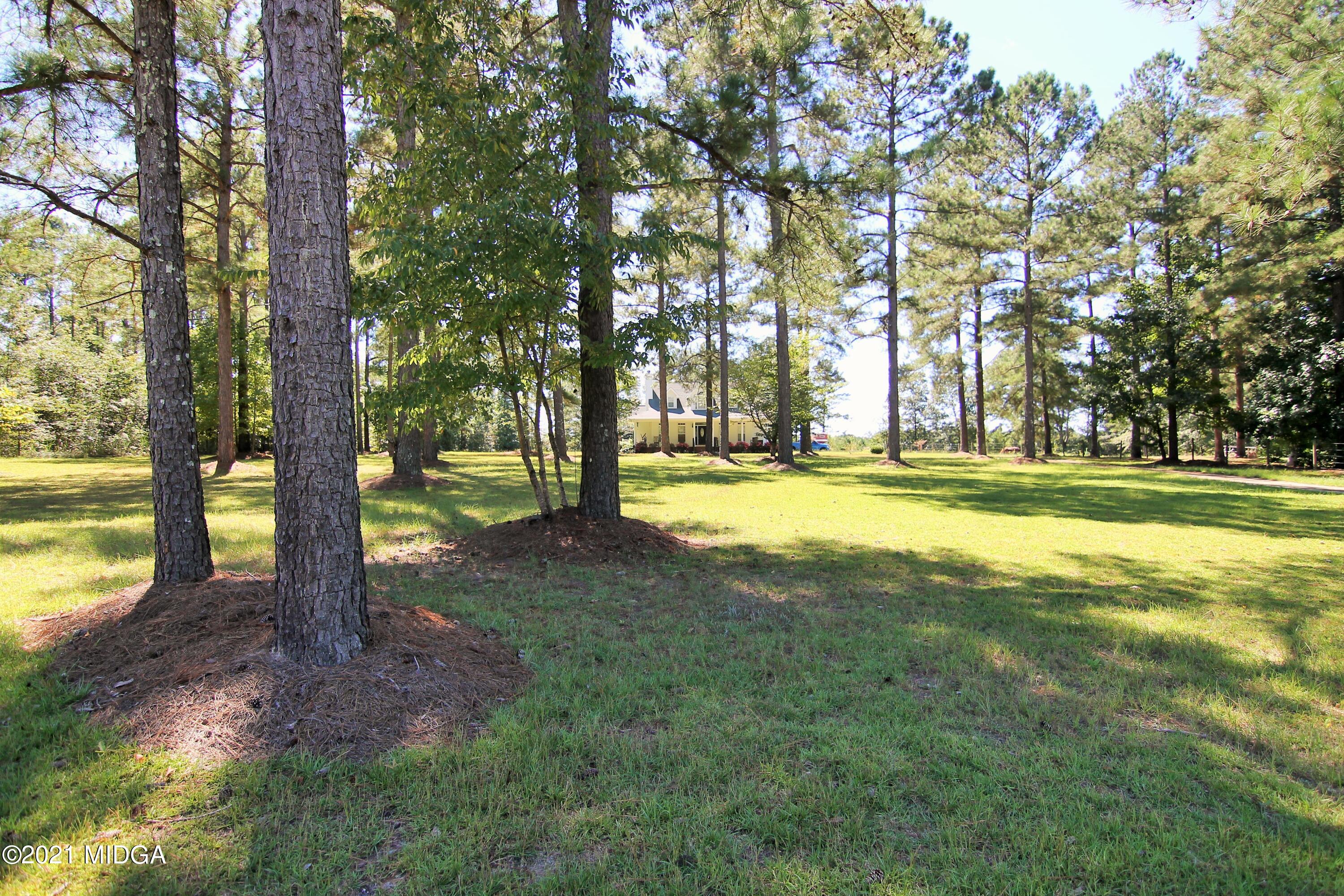 1825 Harlin Day Road McIntyre, GA 31054 - Photo 36 of 37 IMG_6704