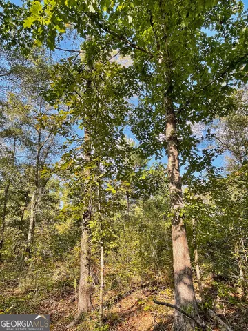 $215,900 | 0 South Highway 36, Jackson, GA 30233