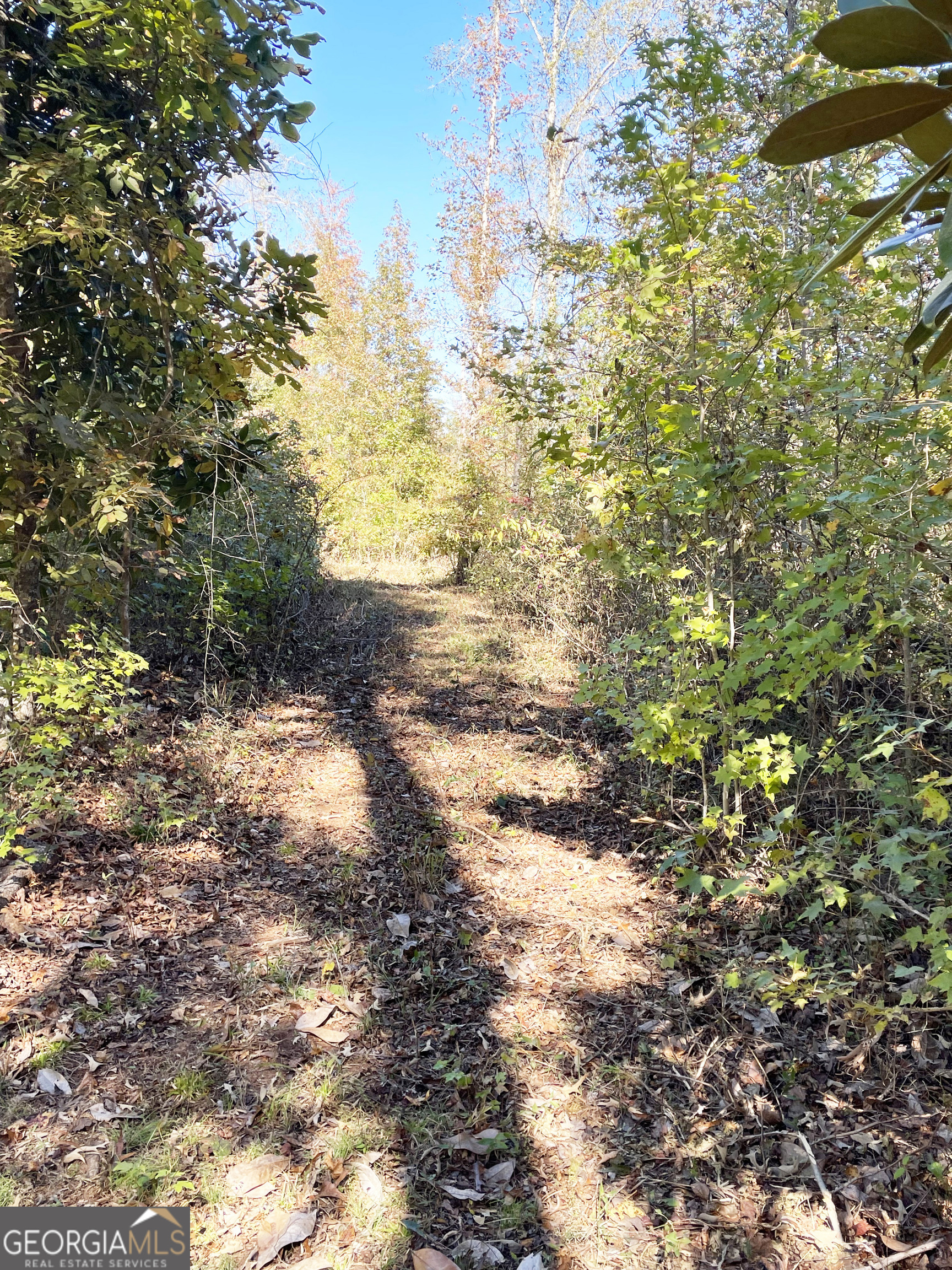 0 South Highway 36 Jackson, GA 30233 - Photo 3 of 11 a view of a yard with trees