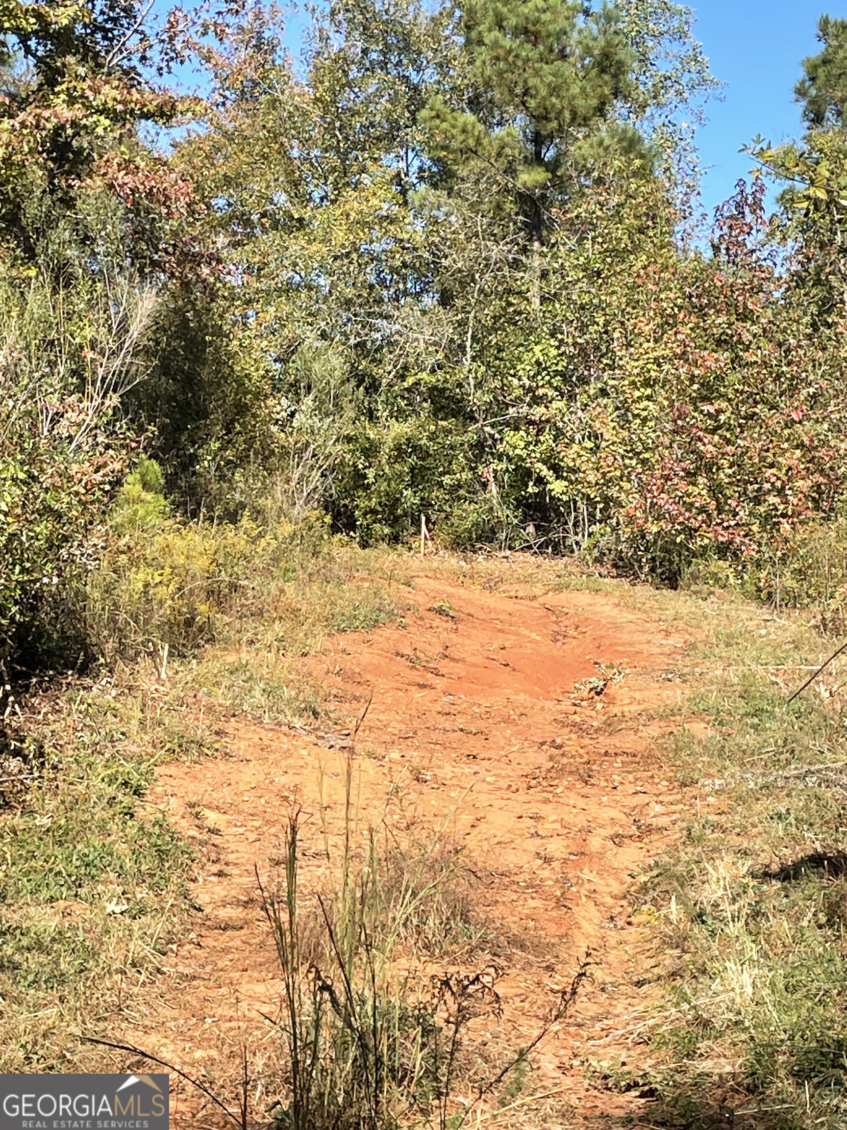 0 South Highway 36 Jackson, GA 30233 - Photo 4 of 11 a view of yard