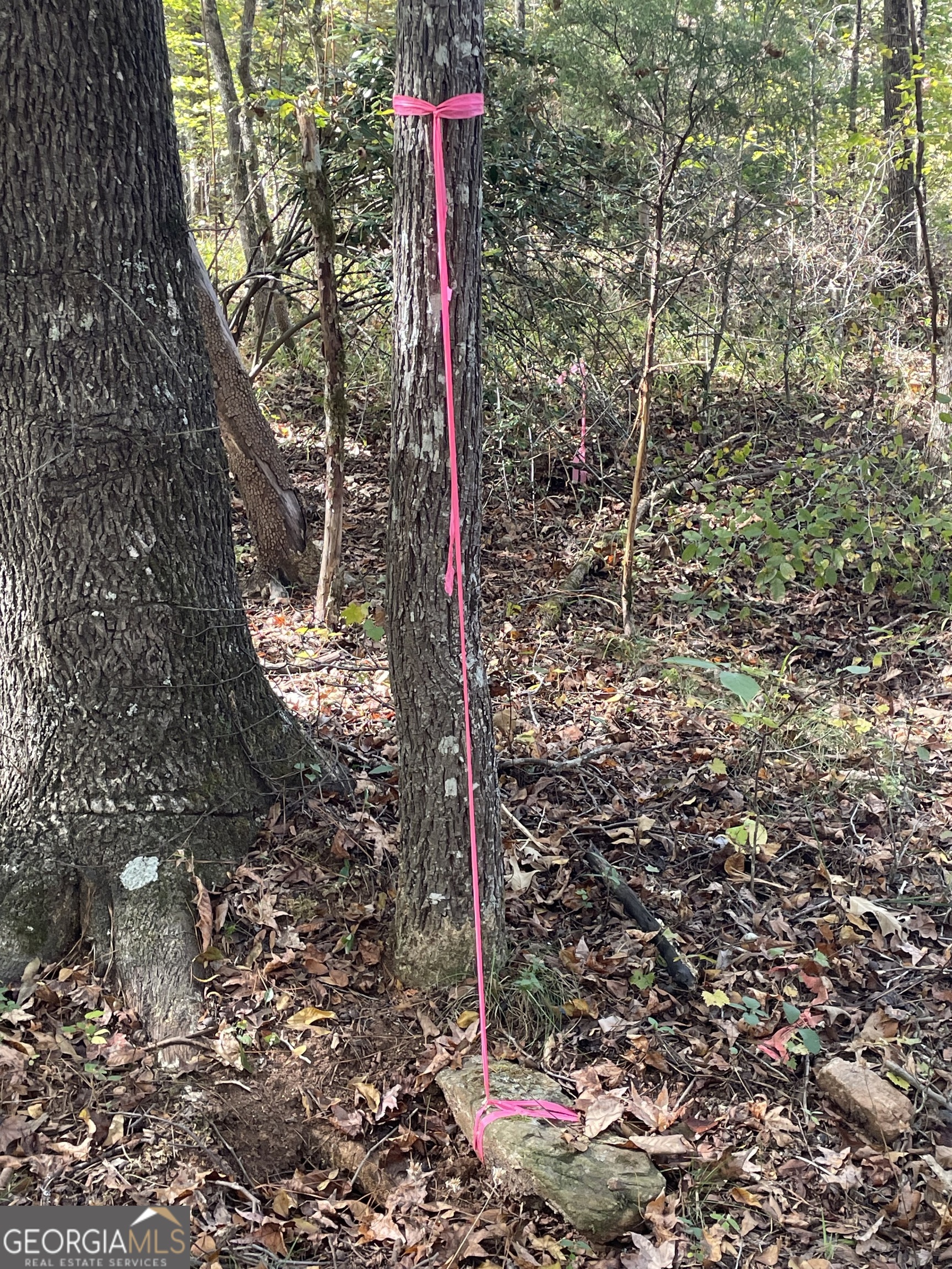 0 South Highway 36 Jackson, GA 30233 - Photo 9 of 11 a flag is sitting in the middle of forest