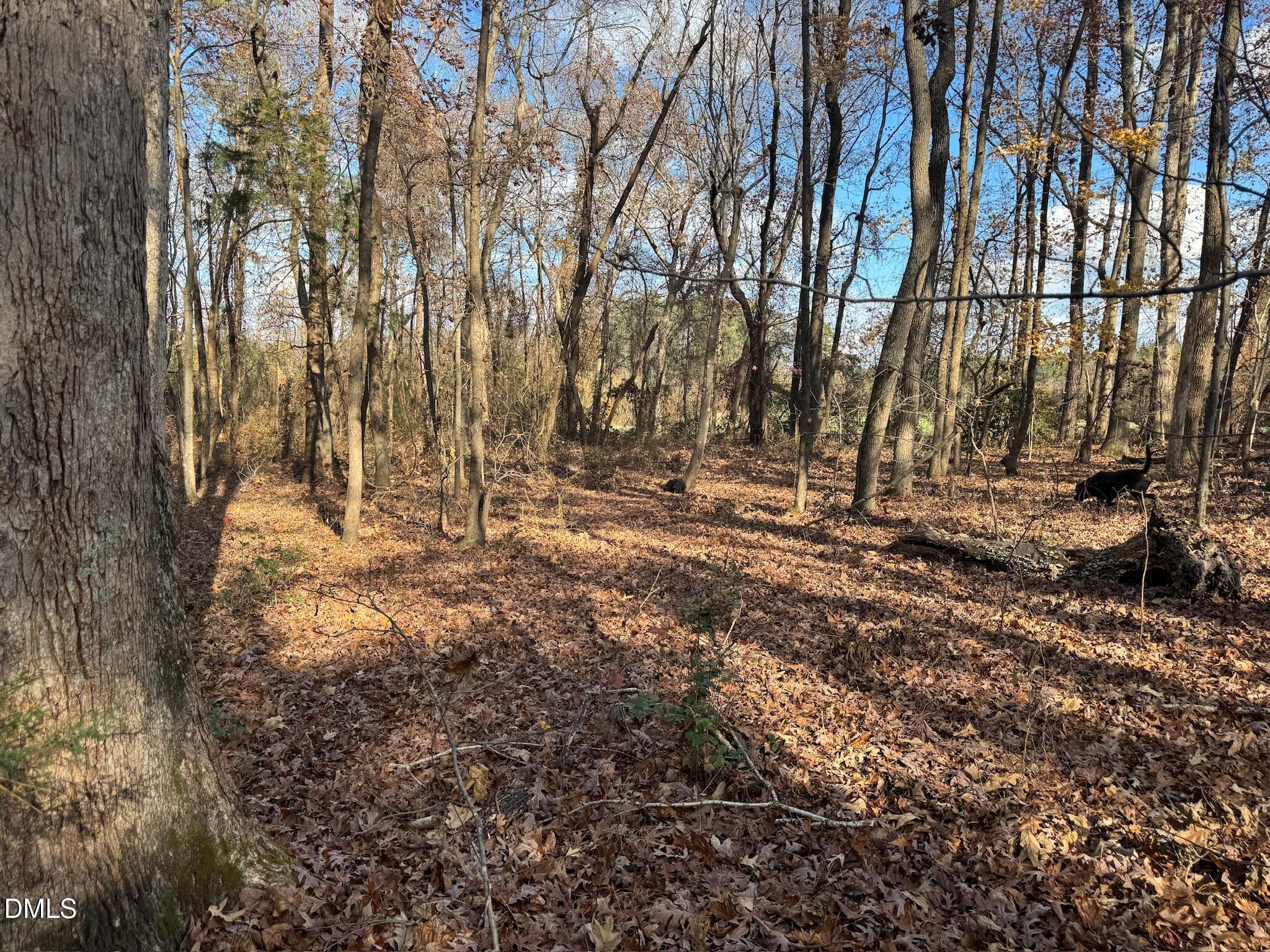0 Martin Road Zebulon, NC 27597 - Photo 28 of 41 IMG_8724