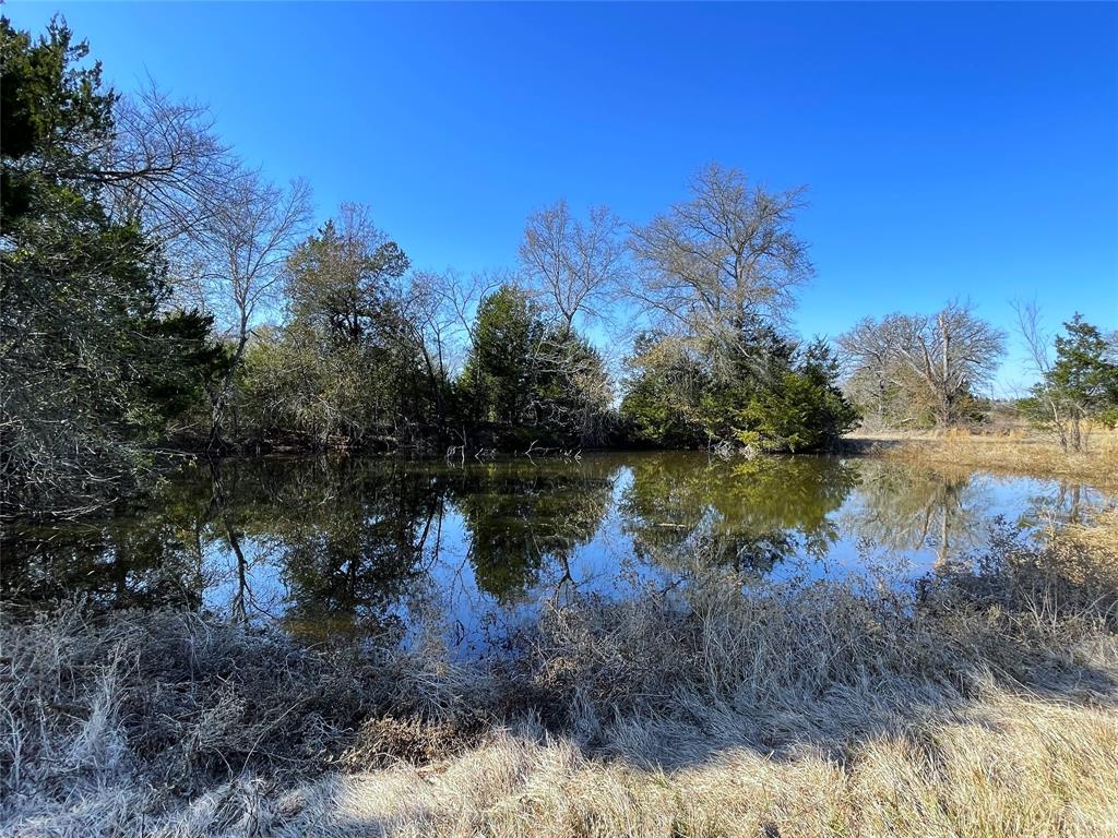 755 Fcr 601 Fairfield, TX 75840 - Photo 4 of 15 Pond at the back of the property