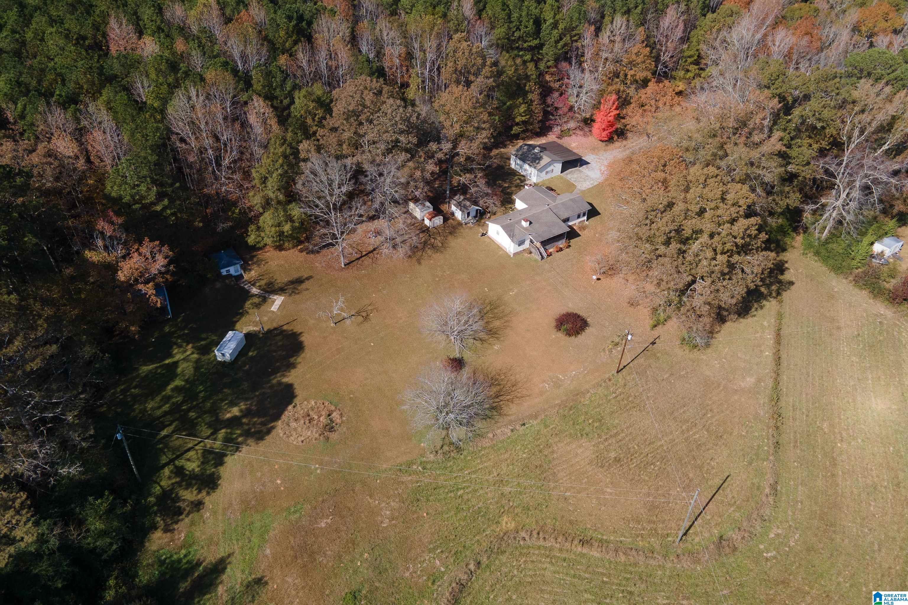 1864 Kelly Loop Road Mount Olive, AL 35117 - Photo 64 of 68