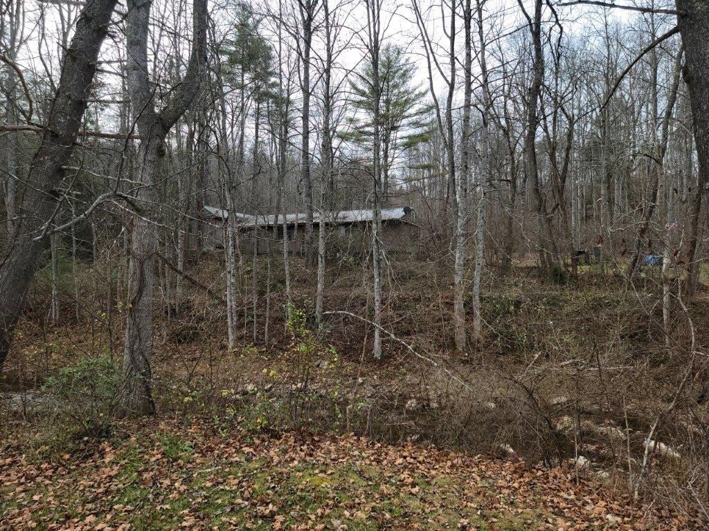 2743 Max Creek Road Hiwassee, VA 24347 - Photo 22 of 25 Gallery Image 22