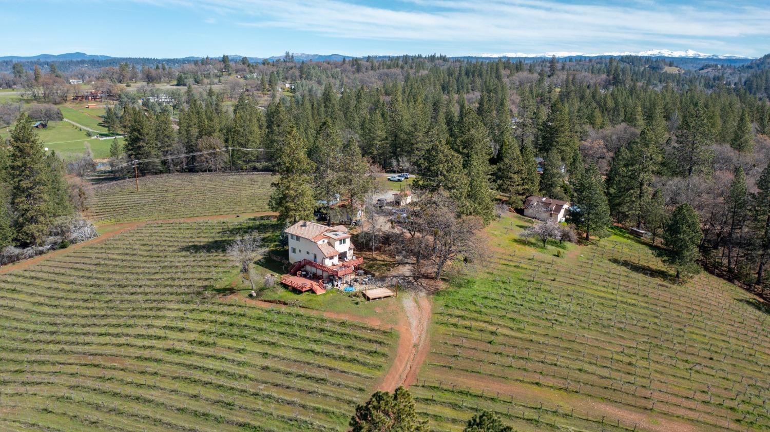 4771 Greenhills Road Placerville, CA 95667 - Photo 68 of 71 Gallery Image 68
