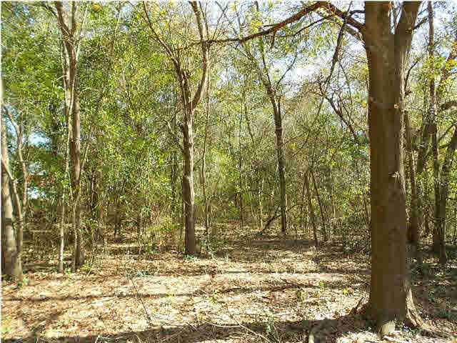 1500 Chemstrand Road Cantonment, FL 32533 - Photo 8 of 14 Several mature trees; the brush below may be easy to clear.