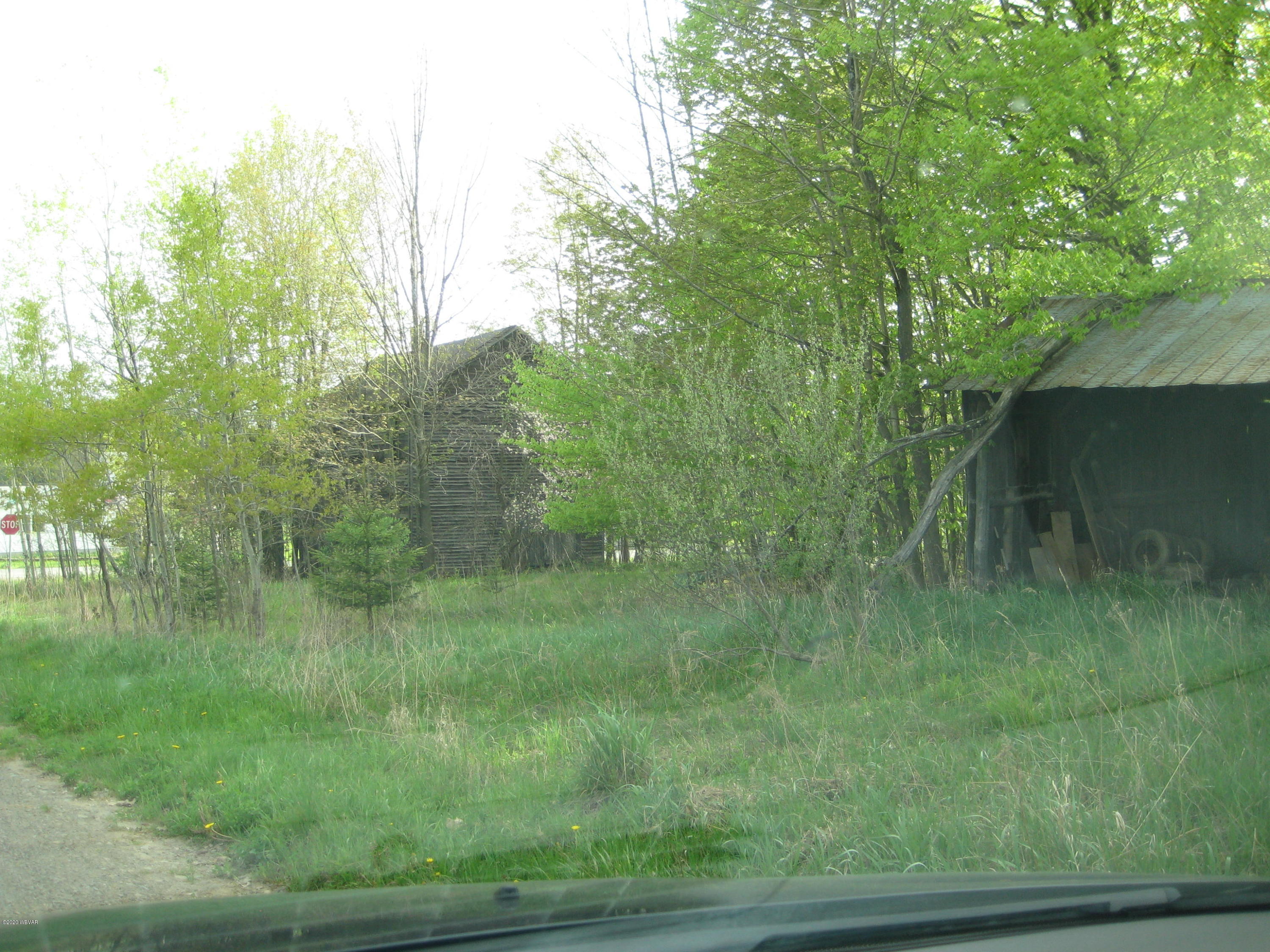 Ellenton Mountain Shunk, PA 17768 - Photo 1 of 7 Gallery Image 1