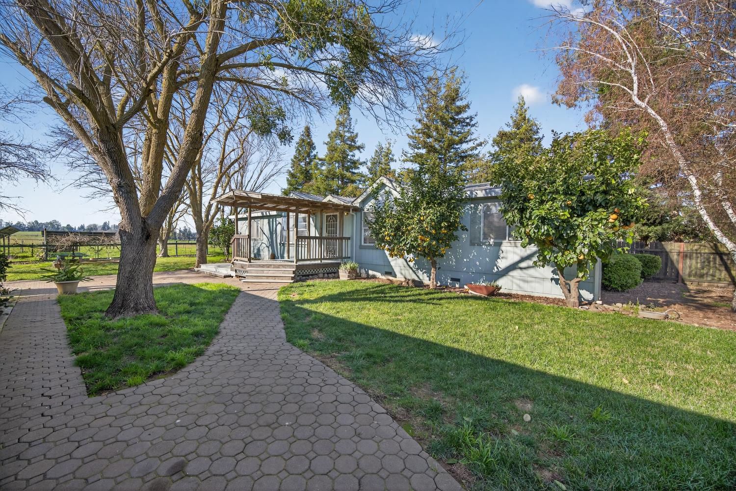 a view of a house with garden and trees