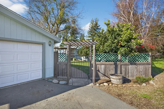 a view of a bench in the back yard