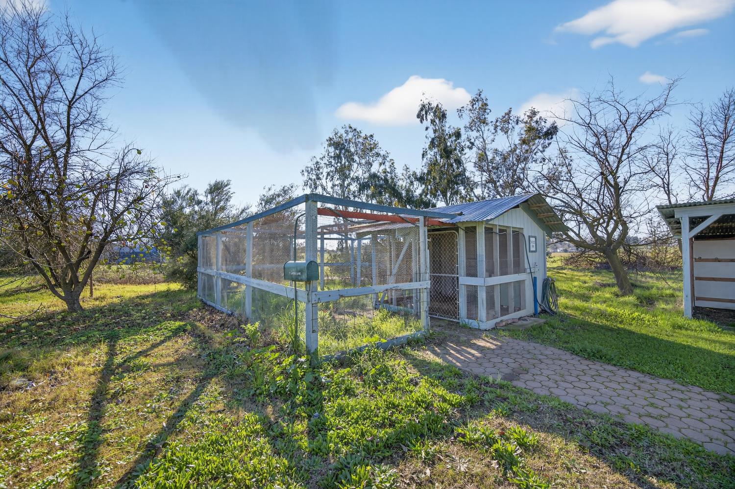 9708 La Clair Road Wilton, CA 95693 - Photo 49 of 60 a backyard of a house with lots of green space