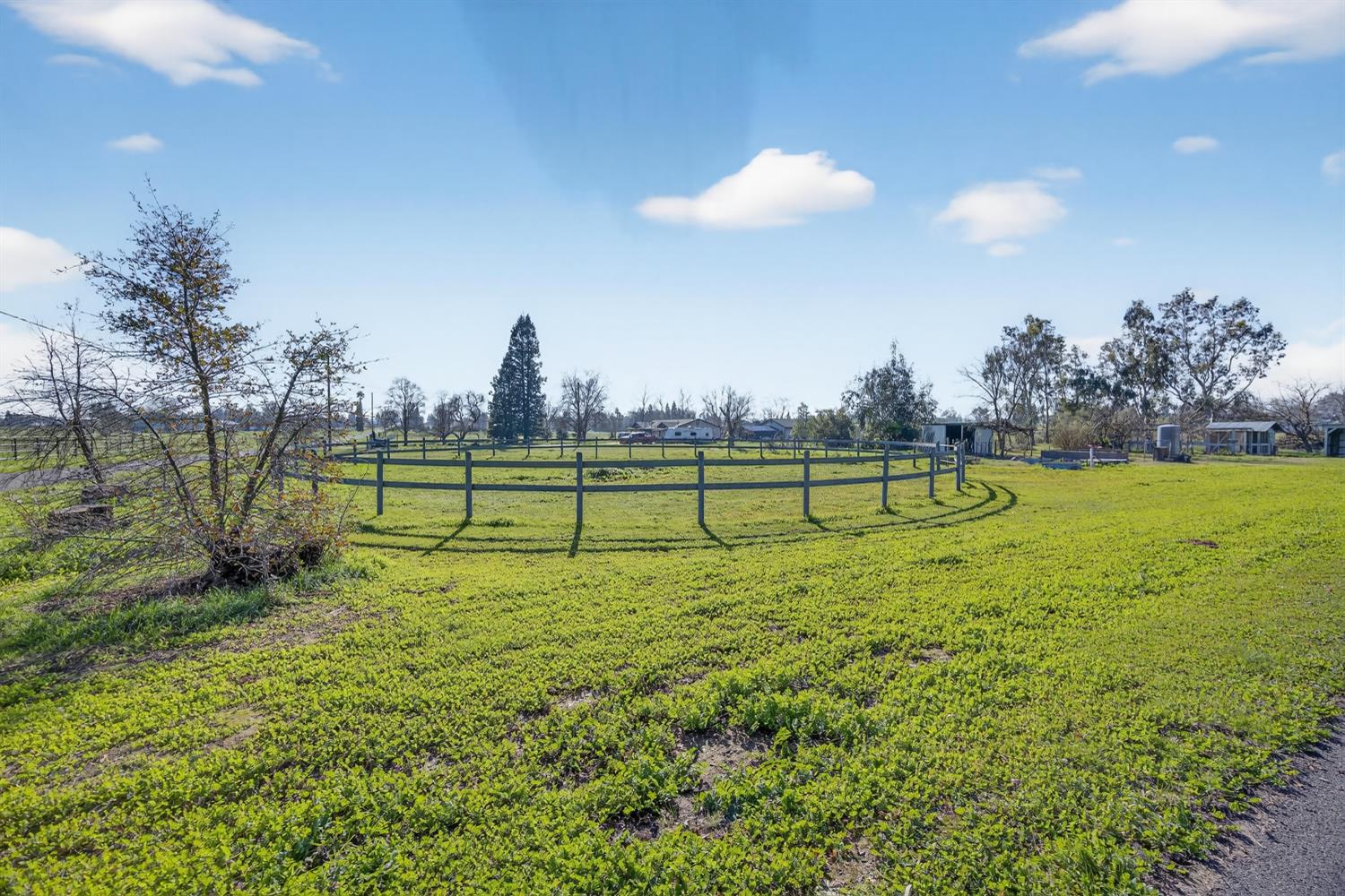 9708 La Clair Road Wilton, CA 95693 - Photo 5 of 60 a view of a park with large trees