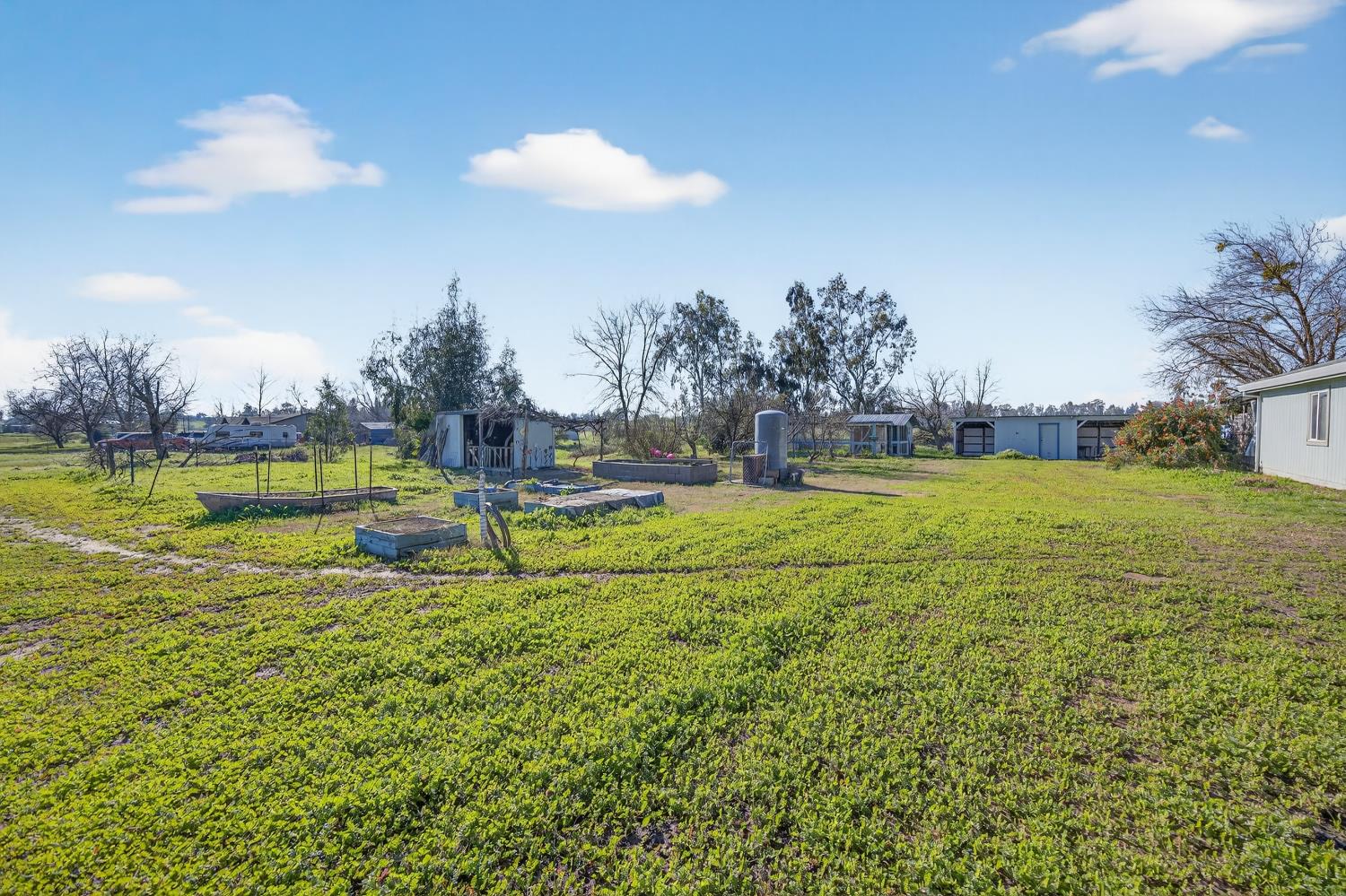 9708 La Clair Road Wilton, CA 95693 - Photo 6 of 60 a view of a swimming pool