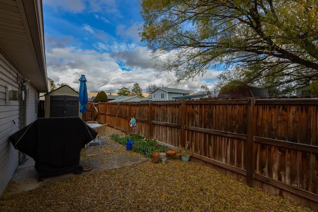 a view of backyard of house
