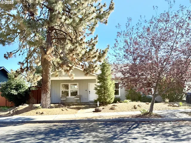 a view of road with trees