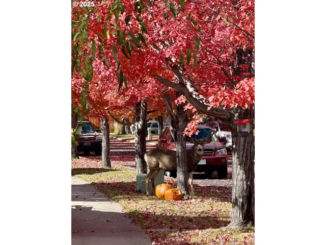 $498,000 | 61142 Brookhollow Drive, Bend, OR 97702