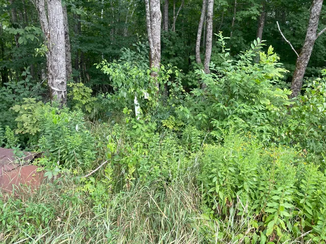 $40,000 | Lot# Bemis Road, Harmony, ME 04942