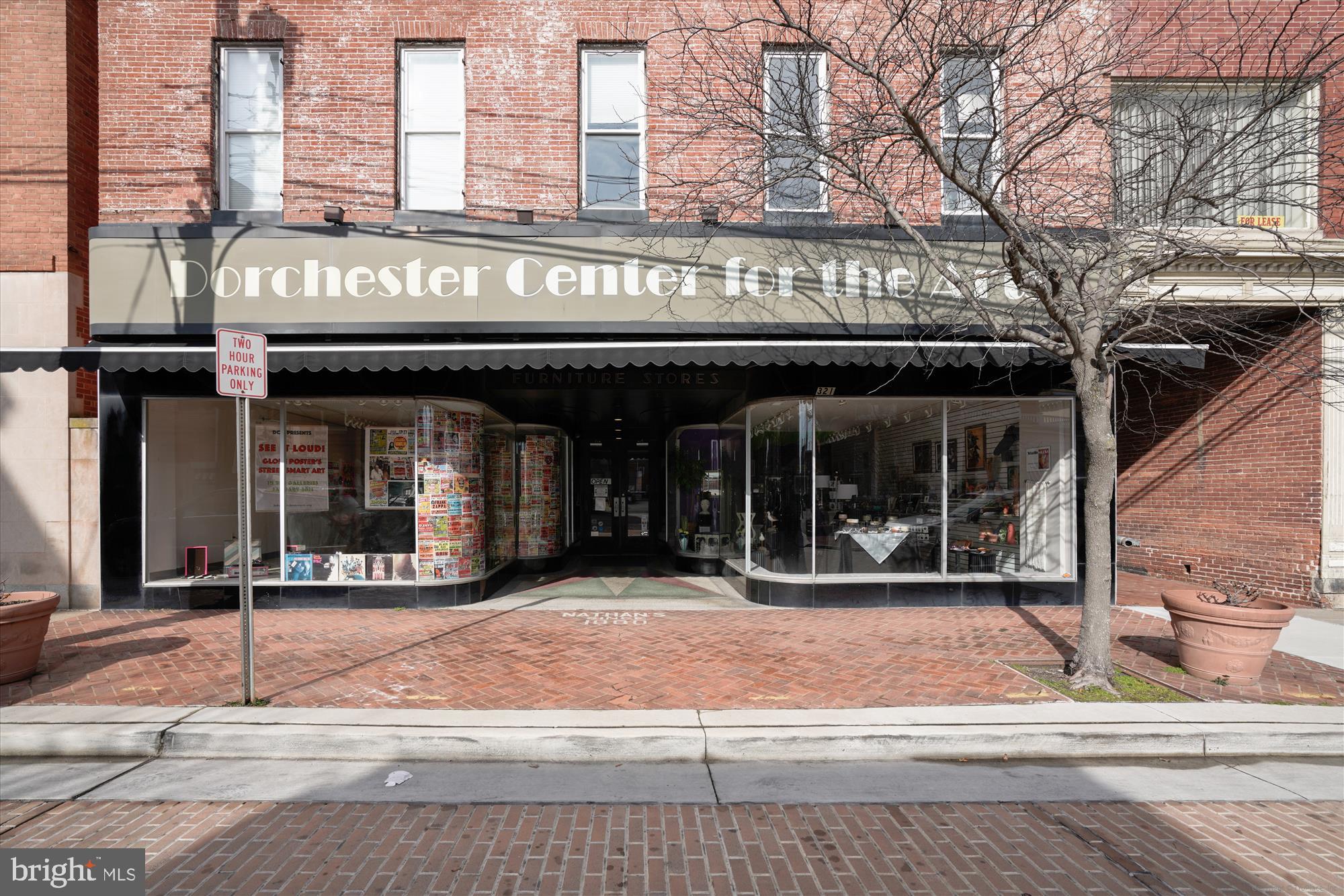 109 Willis Street Cambridge, MD 21613 - Photo 60 of 70