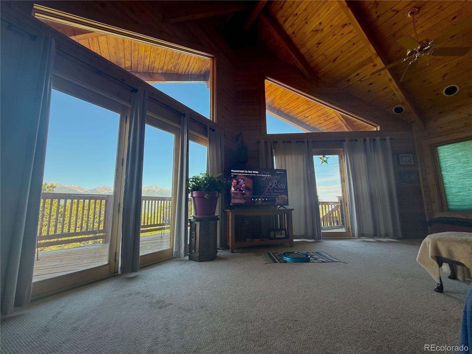 249 Hagerman Road Cotopaxi, CO 81223 - Photo 11 of 31