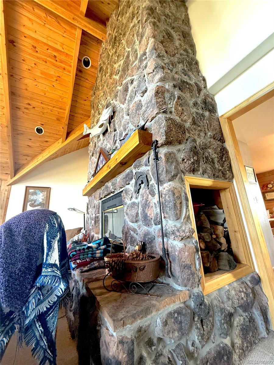 249 Hagerman Road Cotopaxi, CO 81223 - Photo 12 of 31