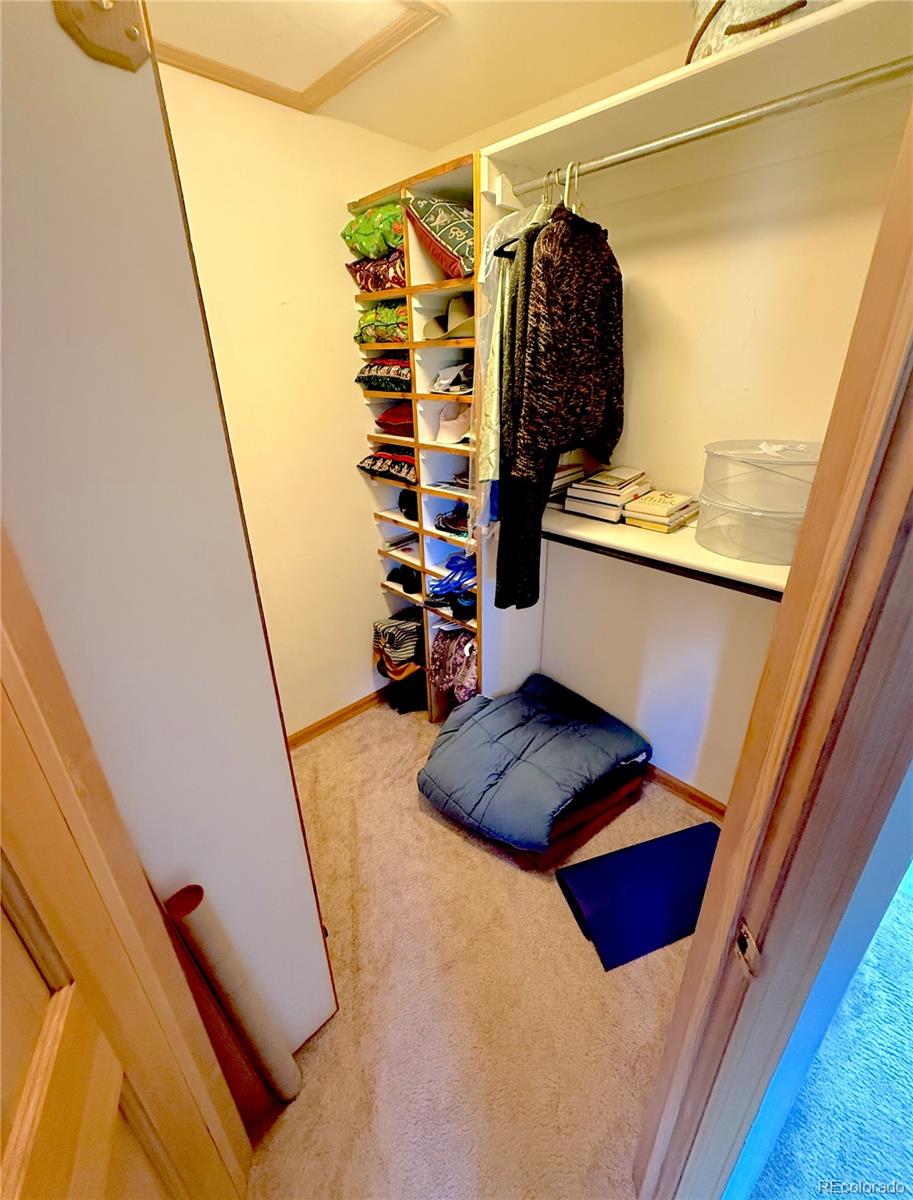 249 Hagerman Road Cotopaxi, CO 81223 - Photo 18 of 31