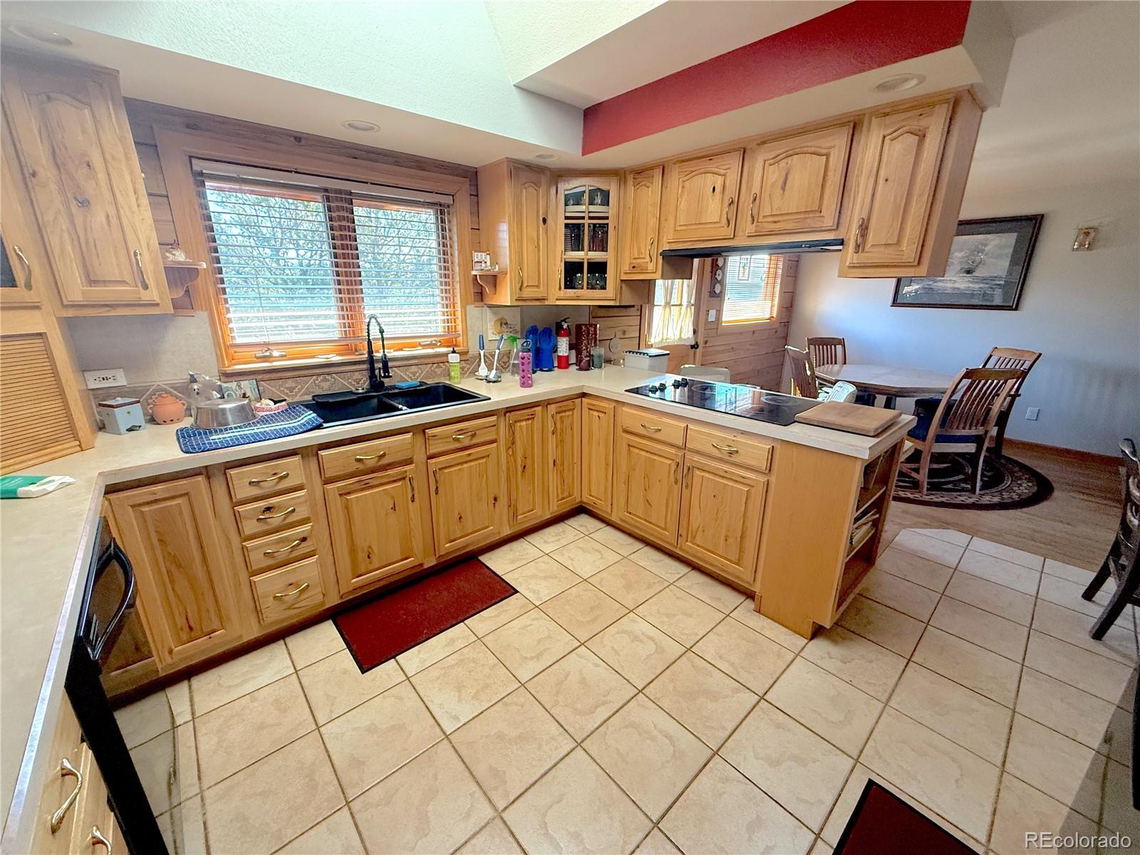 249 Hagerman Road Cotopaxi, CO 81223 - Photo 4 of 31