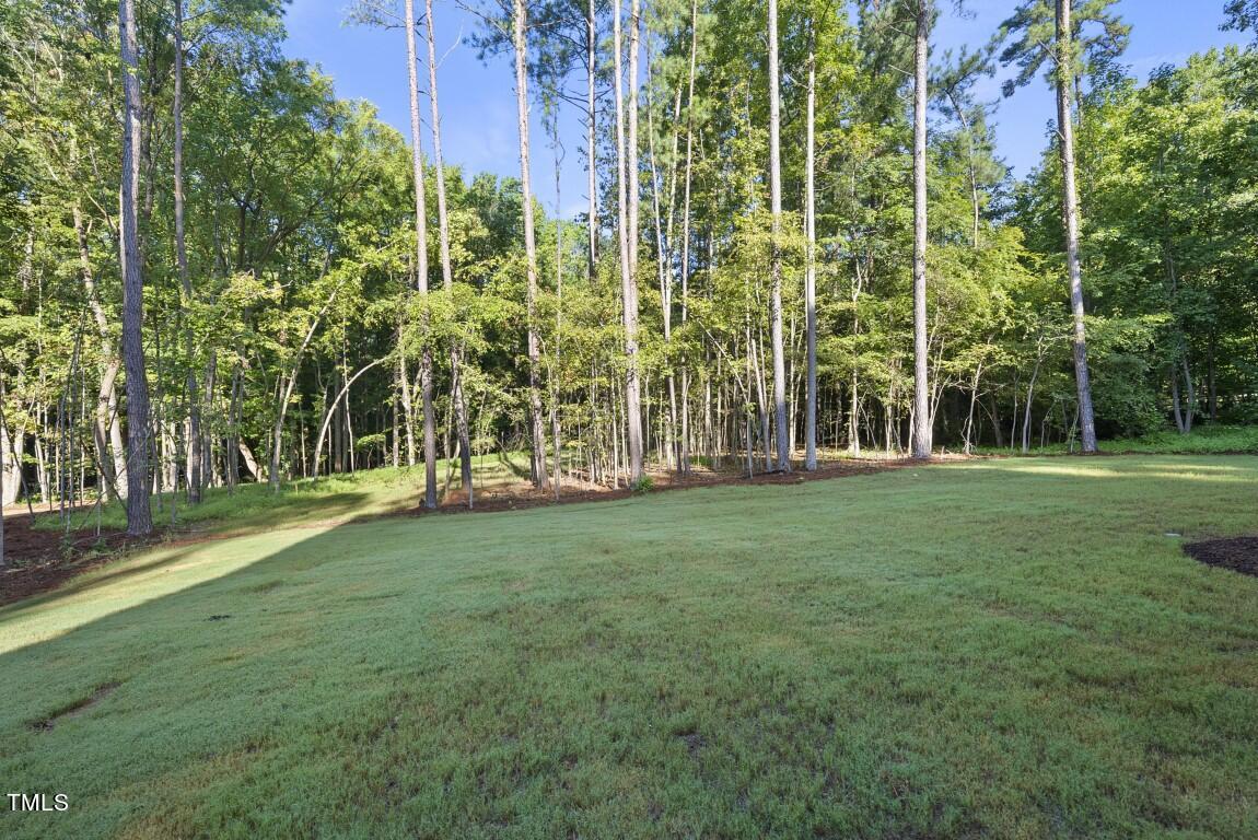 13541 Old Creedmoor Road Wake Forest, NC 27587 - Photo 36 of 41 front view of a building with a tree