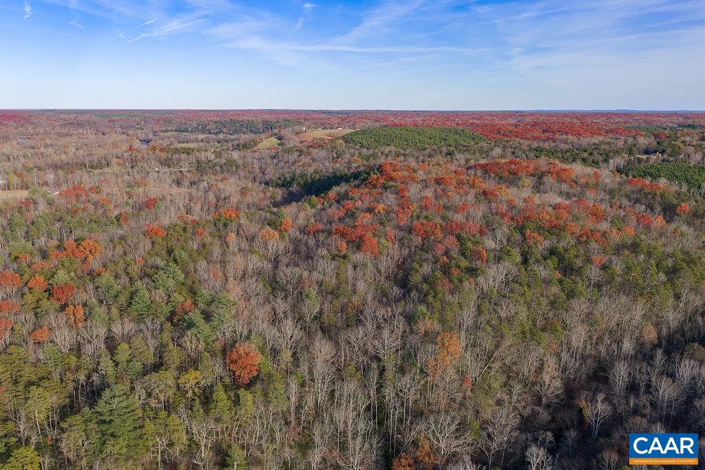 0 Manteo Road Buckingham, VA 23921 - Photo 14 of 17 a view of a yard
