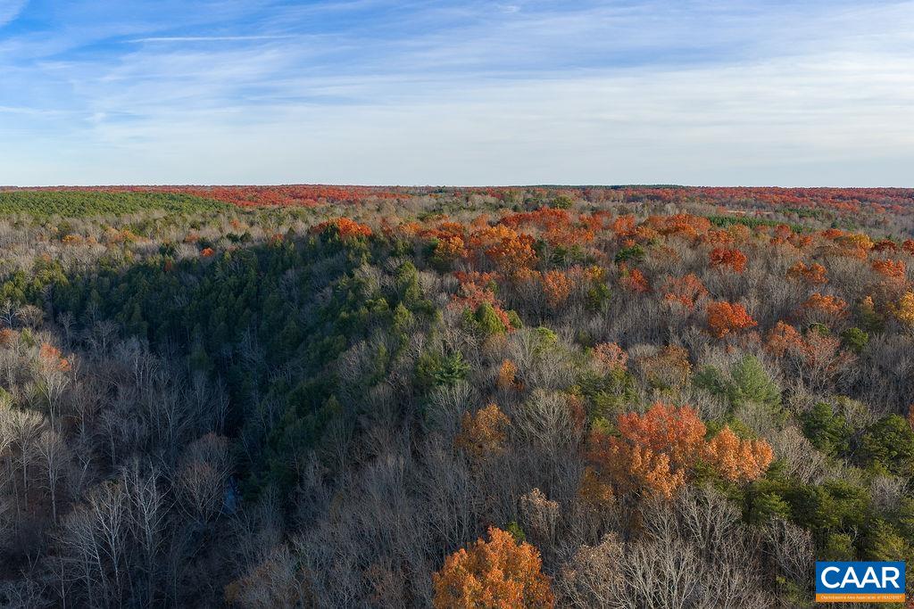 0 Manteo Road Buckingham, VA 23921 - Photo 17 of 17 a view of a field with trees