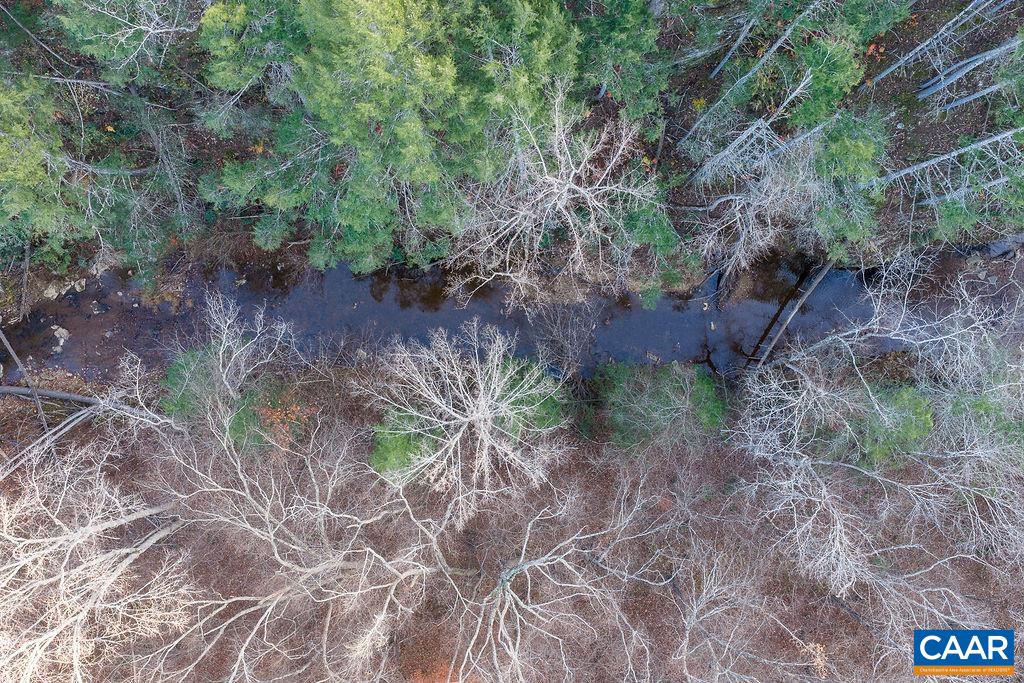 0 Manteo Road Buckingham, VA 23921 - Photo 5 of 17 a view of a yard