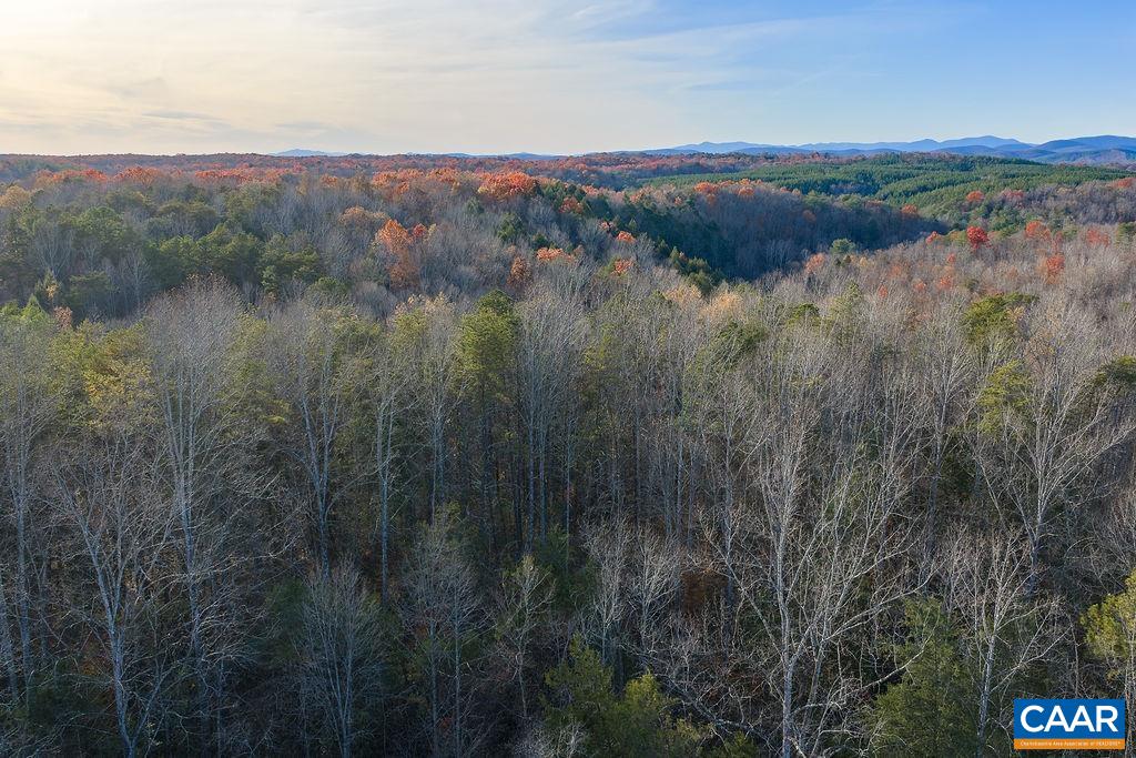 0 Manteo Road Buckingham, VA 23921 - Photo 8 of 17