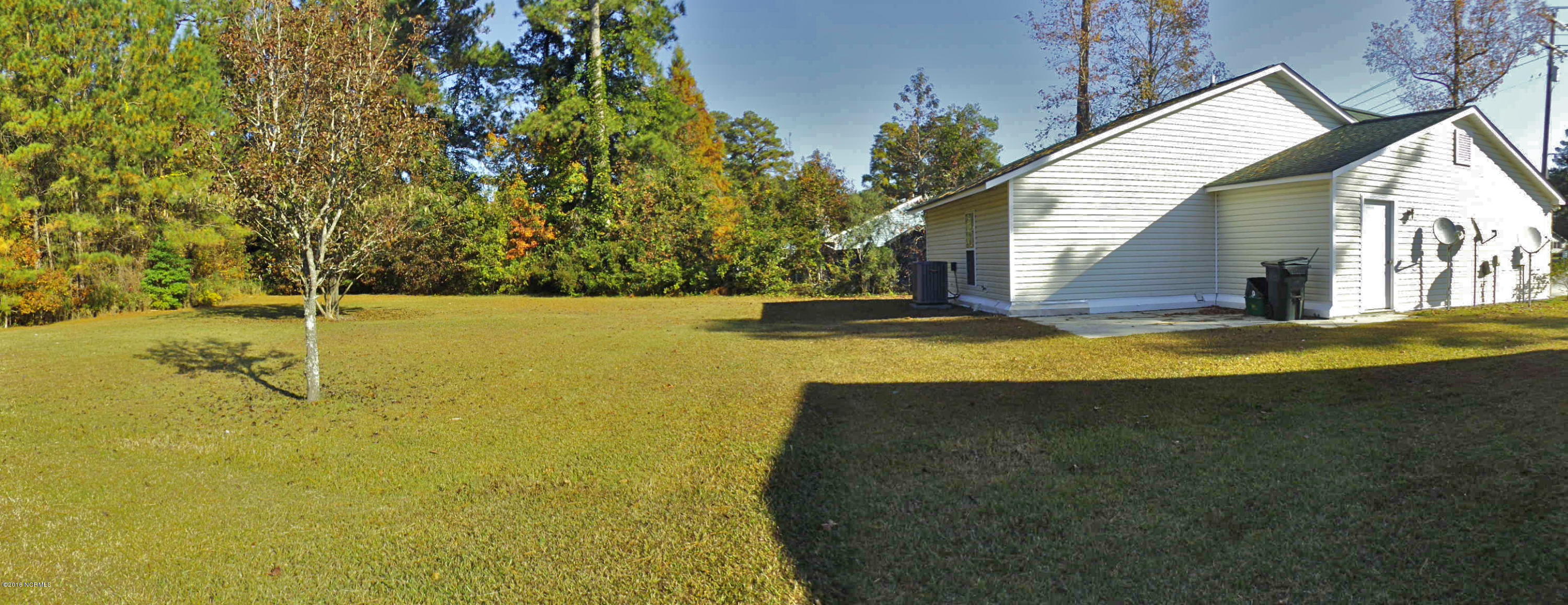 1499 RaceTrack Road New Bern, NC 28562 - Photo 5 of 6 Very Private Backyard.