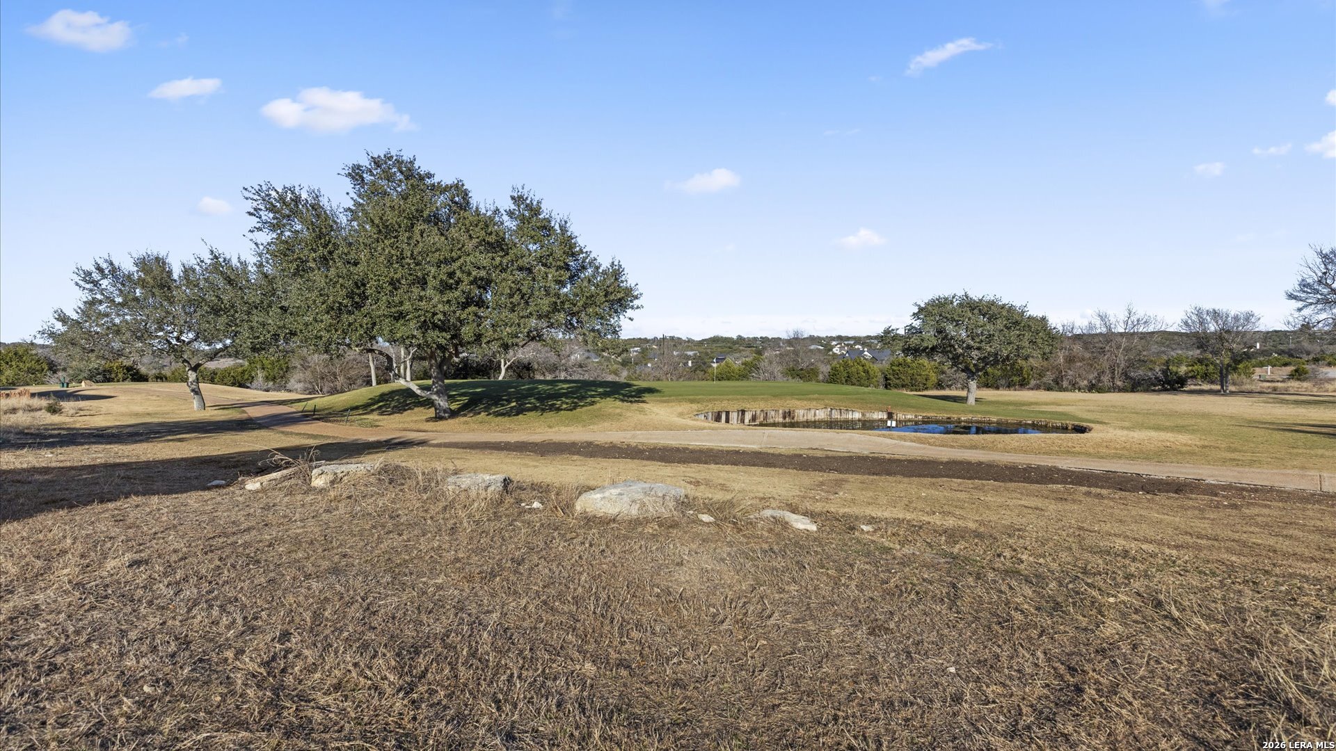 217 Lewis Todd Blanco, TX 78606 - Photo 2 of 29