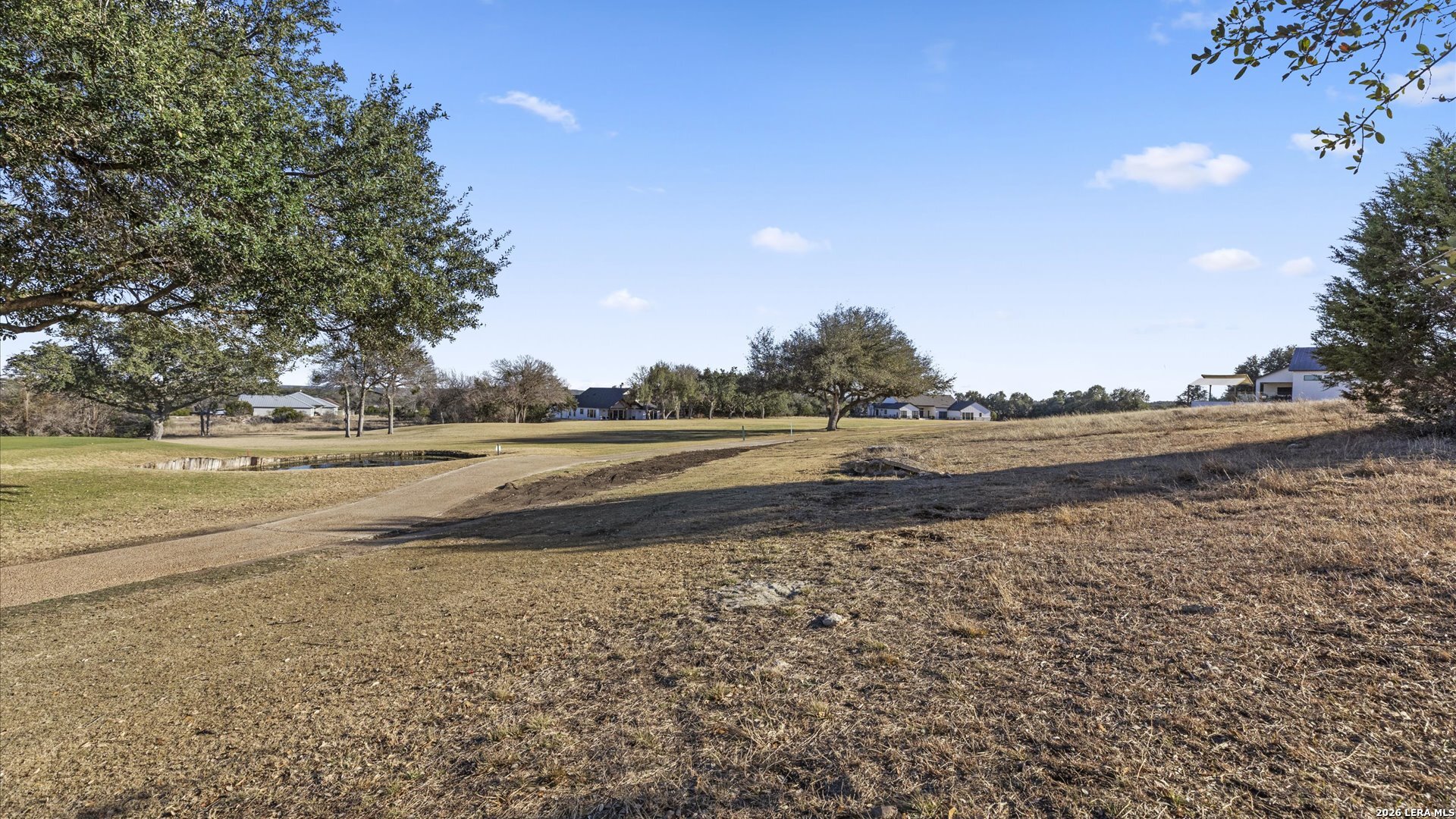 217 Lewis Todd Blanco, TX 78606 - Photo 3 of 29